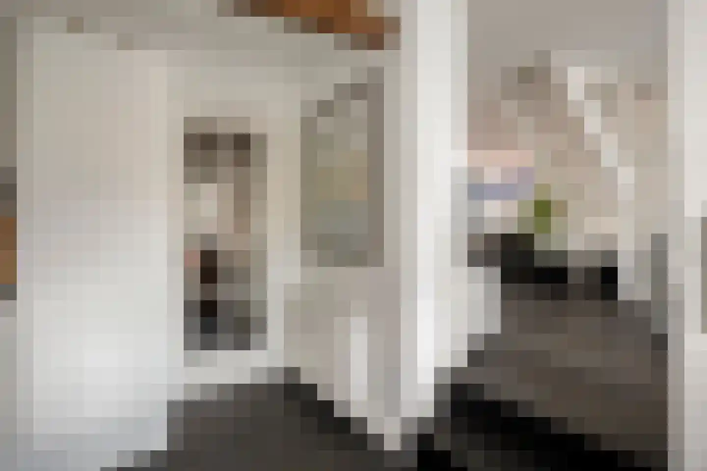 Havenstraat 10 Woerden thumbnail 10