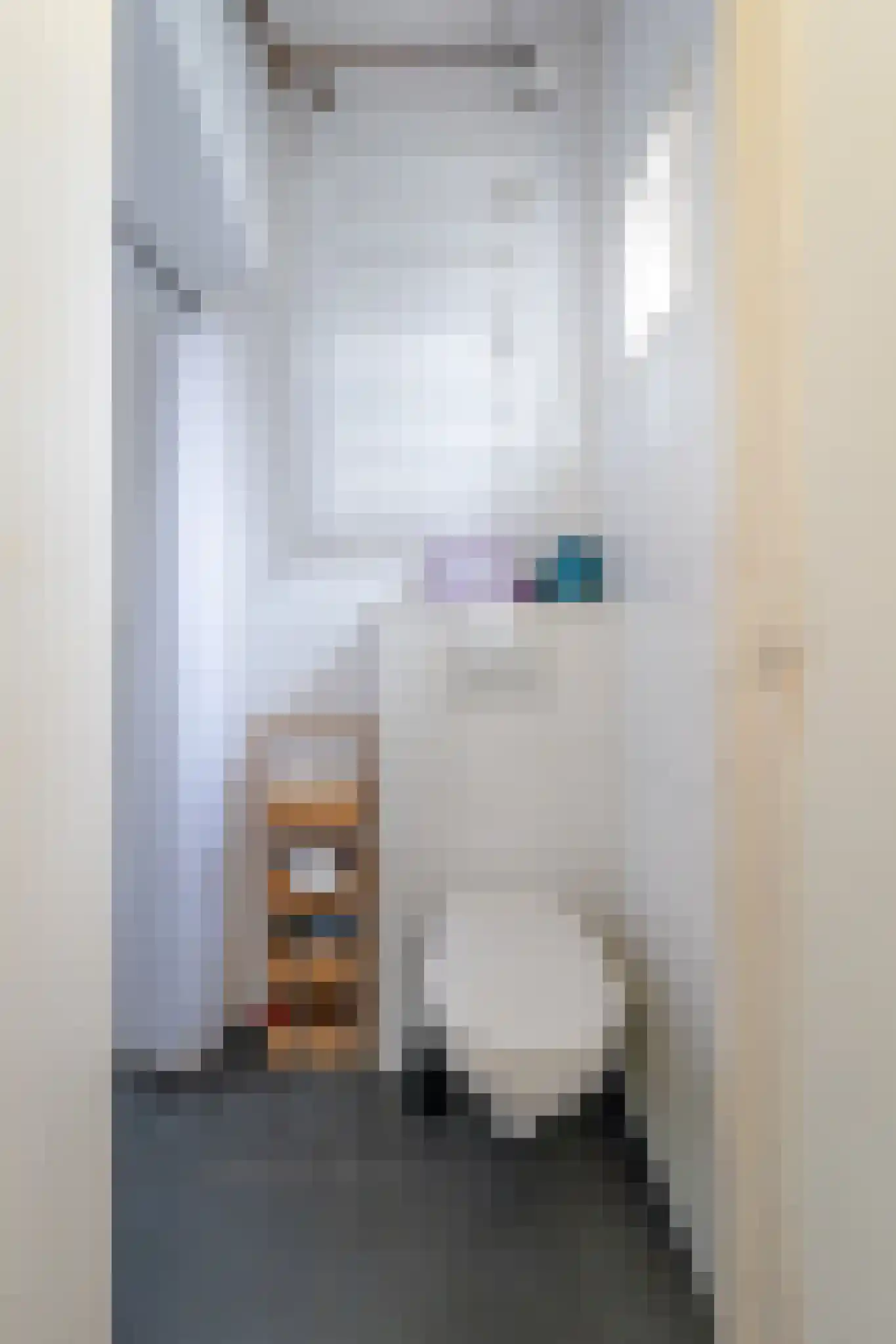 Havenstraat 113 Hilversum thumbnail 18