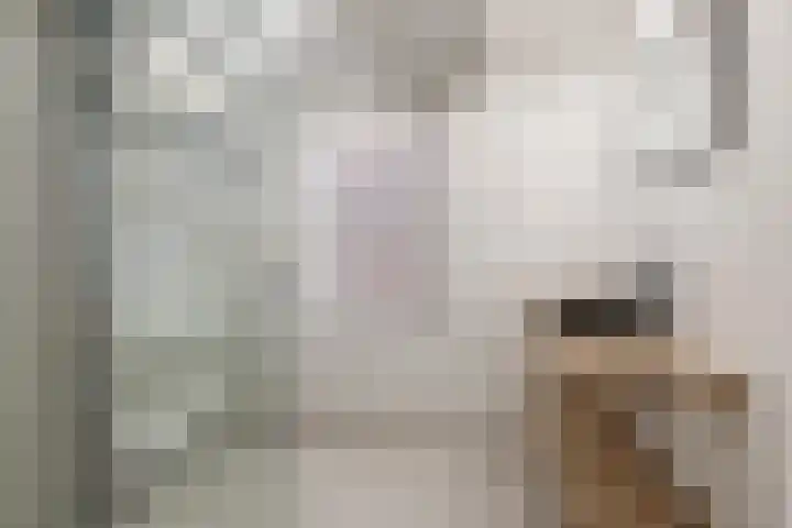 Havenstraat 115 D Hilversum thumbnail 25