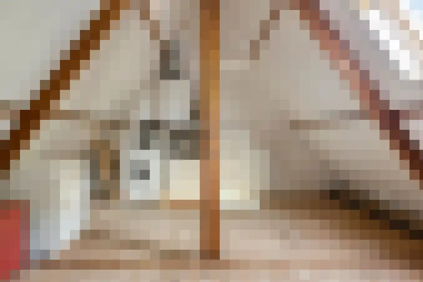 Havenstraat 118 Zaandam thumbnail 31