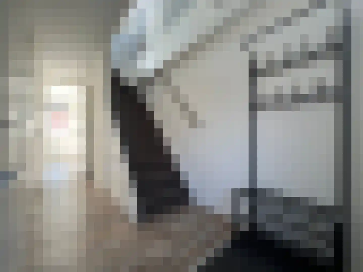 Havenstraat 12 B Montfoort thumbnail 4