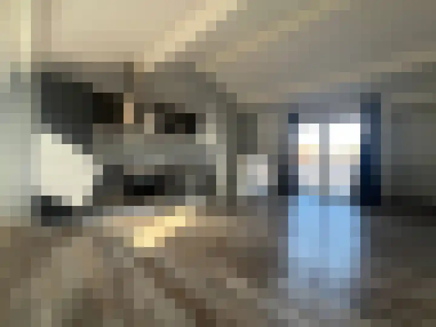 Havenstraat 12 B Montfoort thumbnail 7