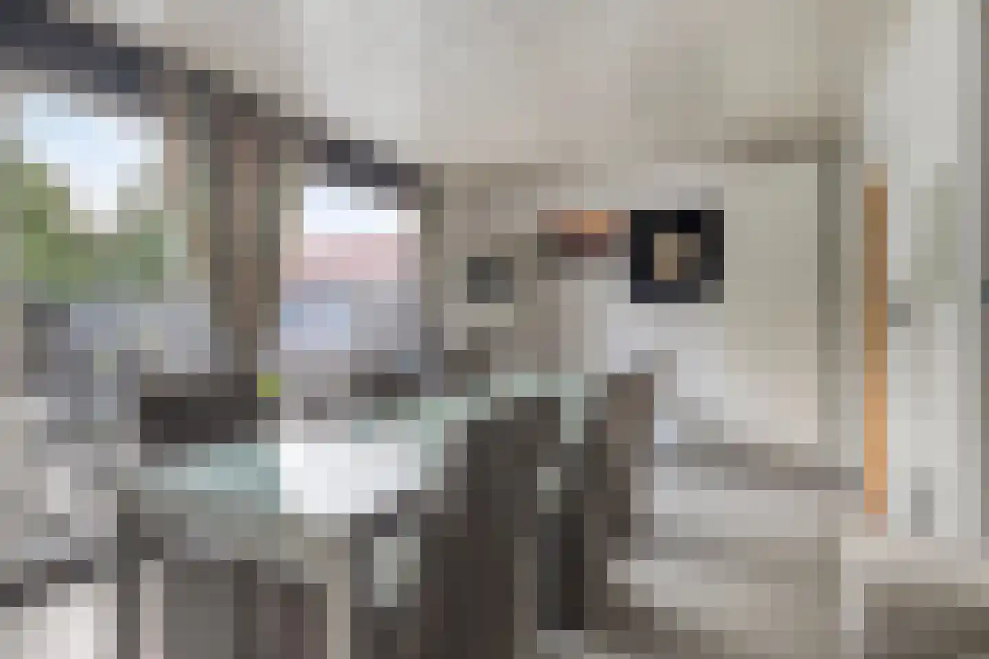 Havenstraat 12 Biervliet thumbnail 10