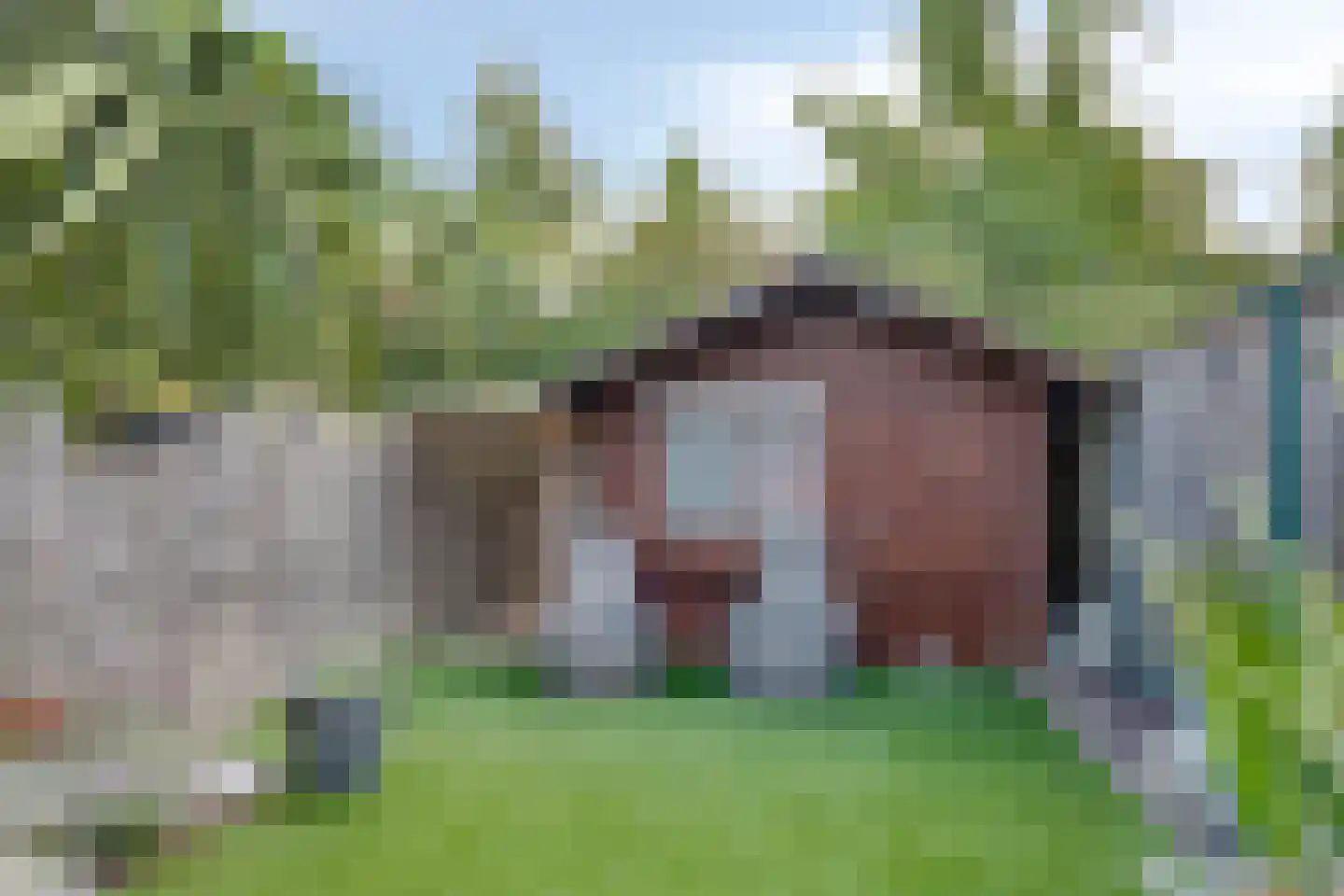 Havenstraat 12 Biervliet thumbnail 31