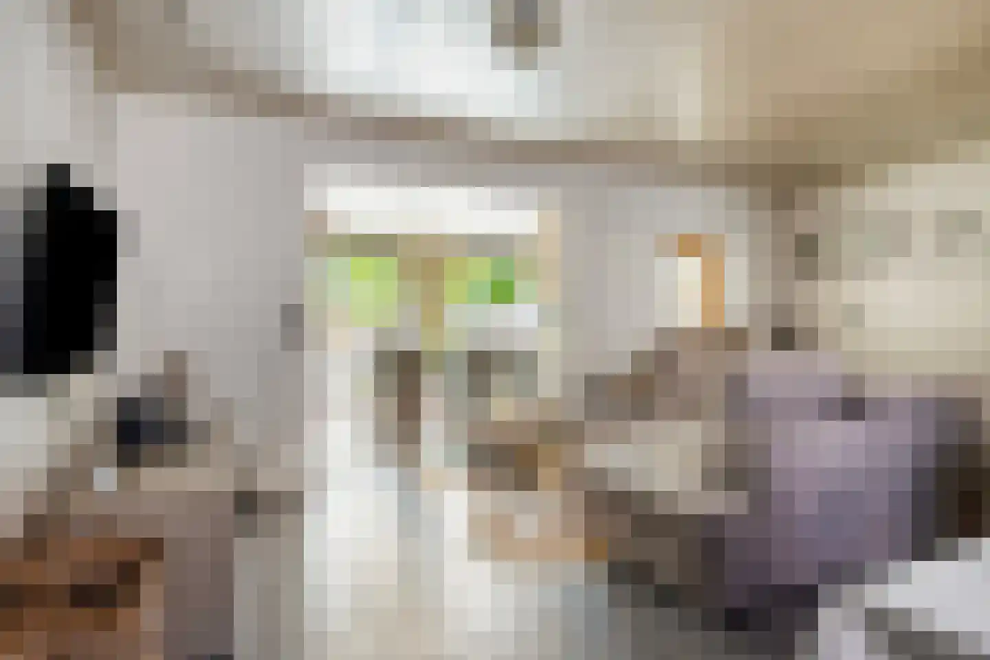 Havenstraat 12 Biervliet thumbnail 6