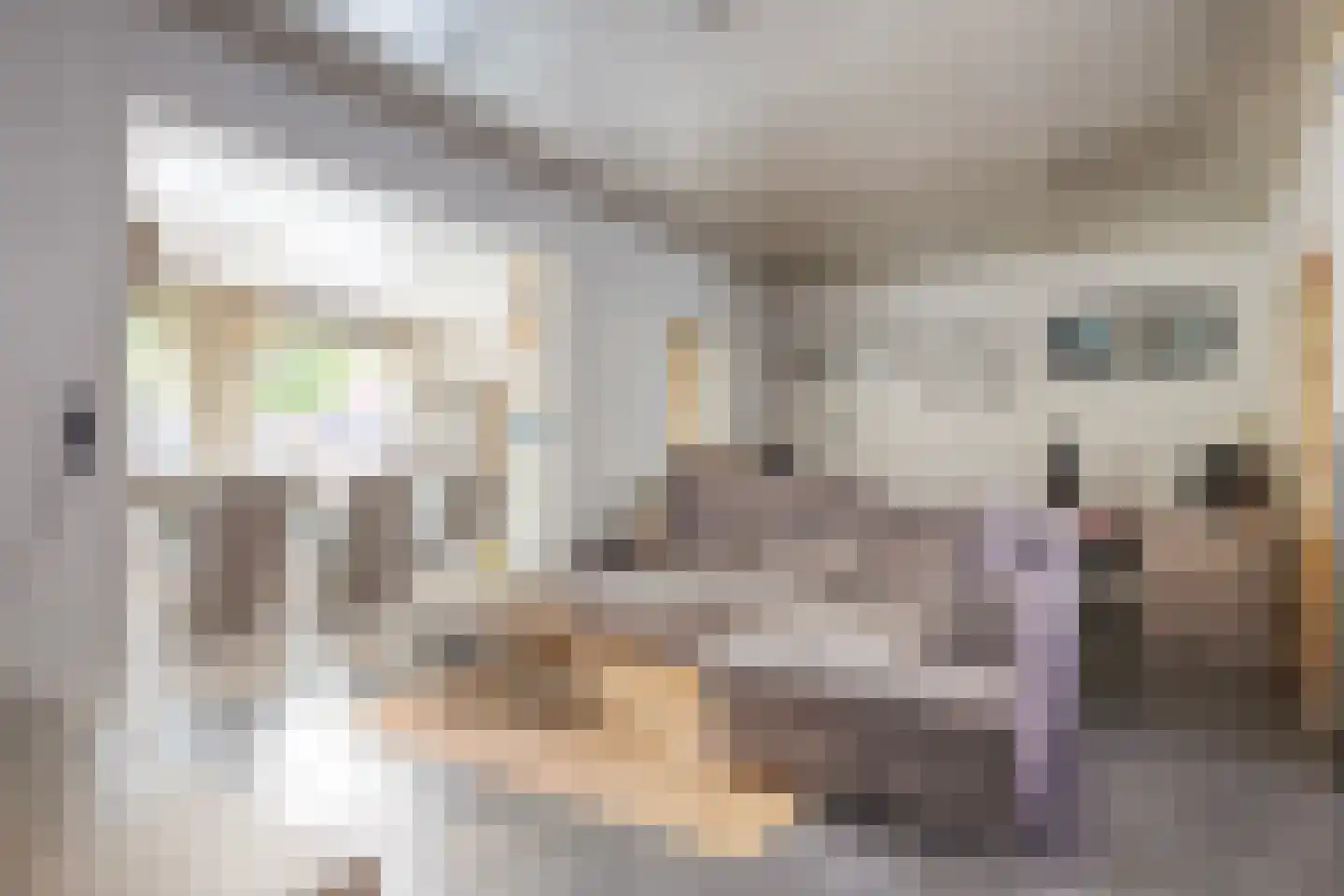 Havenstraat 12 Biervliet thumbnail 7