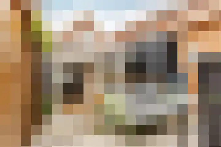 Havenstraat 12 Schoonhoven thumbnail 47