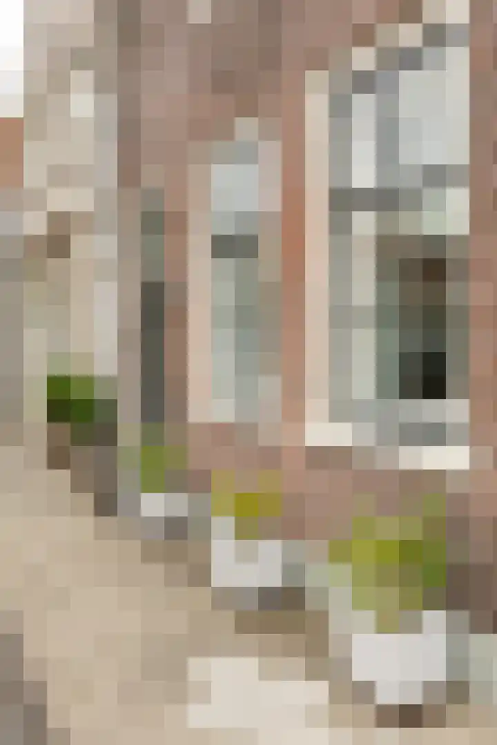 Havenstraat 12 Schoonhoven thumbnail 52