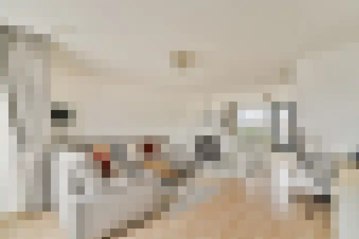 Havenstraat 123 Berkel en Rodenrijs thumbnail 11
