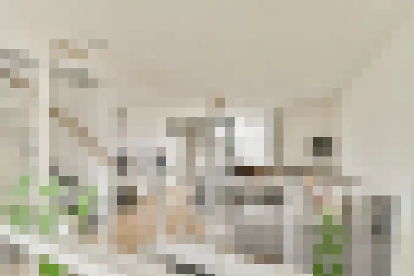 Havenstraat 123 Berkel en Rodenrijs foto 3