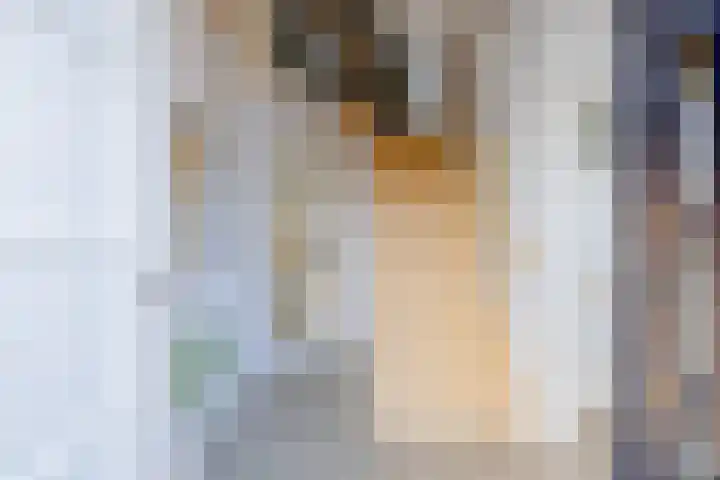 Havenstraat 125 Zijdewind thumbnail 10