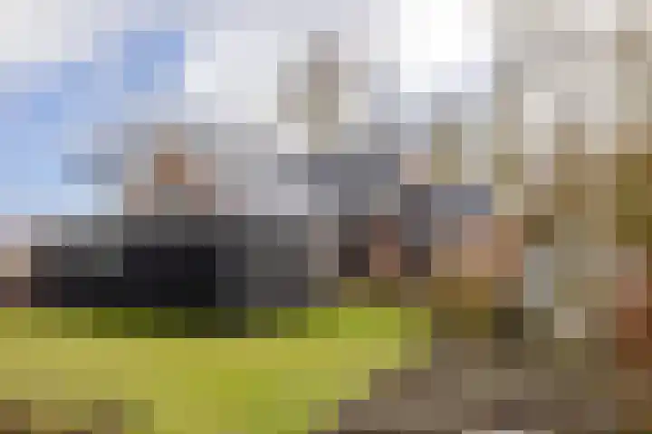 Havenstraat 125 Zijdewind thumbnail 29