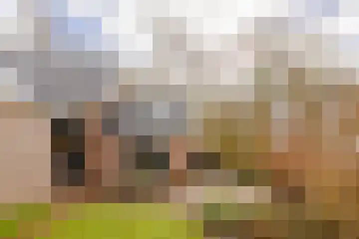 Havenstraat 125 Zijdewind thumbnail 30