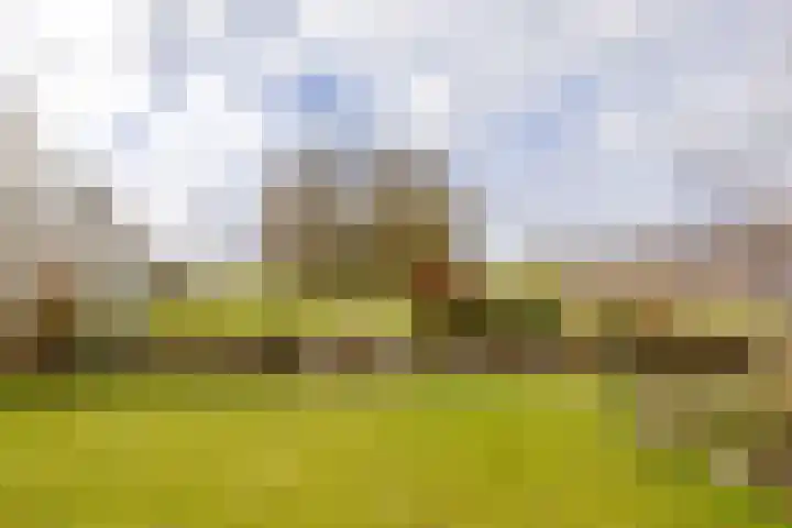 Havenstraat 125 Zijdewind thumbnail 32