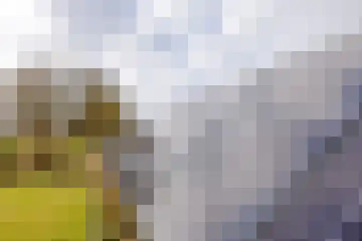 Havenstraat 125 Zijdewind thumbnail 33