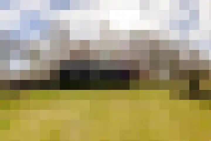 Havenstraat 125 Zijdewind thumbnail 34