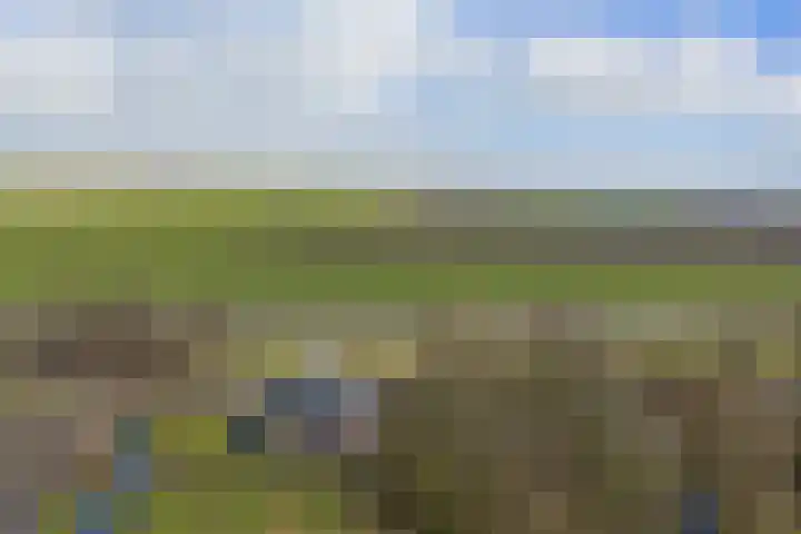 Havenstraat 125 Zijdewind thumbnail 35