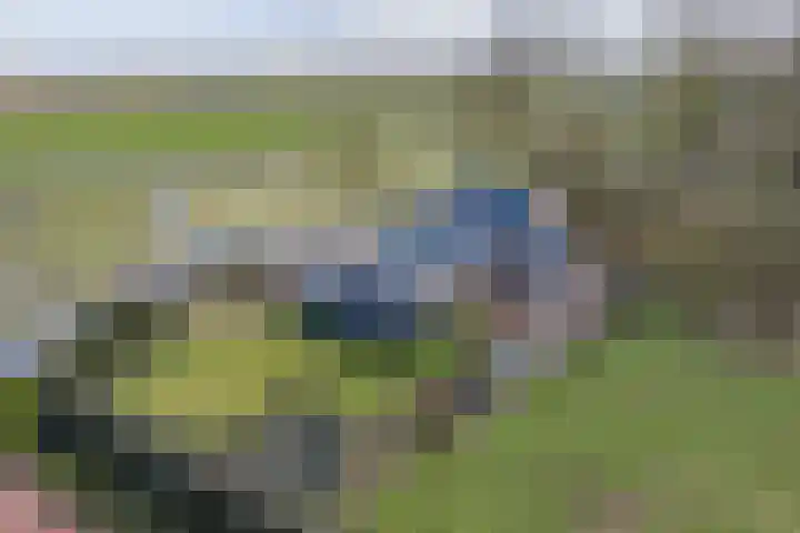 Havenstraat 125 Zijdewind thumbnail 36