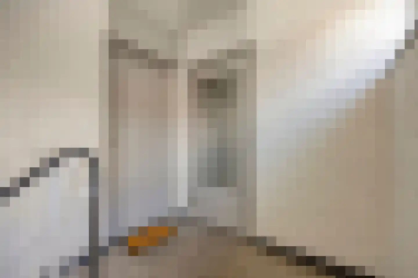 Havenstraat 13 F Maastricht thumbnail 19