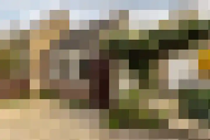 Havenstraat 13 Schoonhoven thumbnail 37