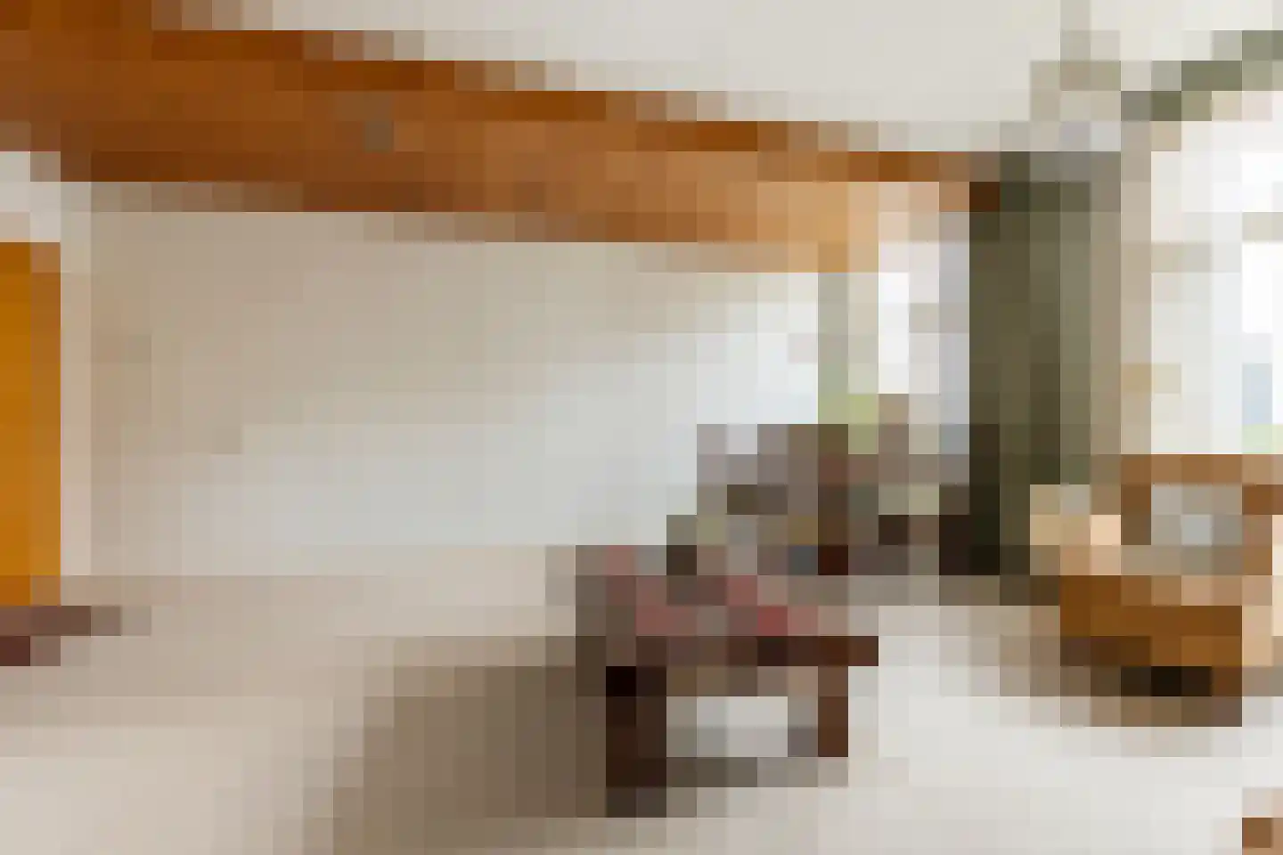 Havenstraat 13 Schoonhoven thumbnail 7