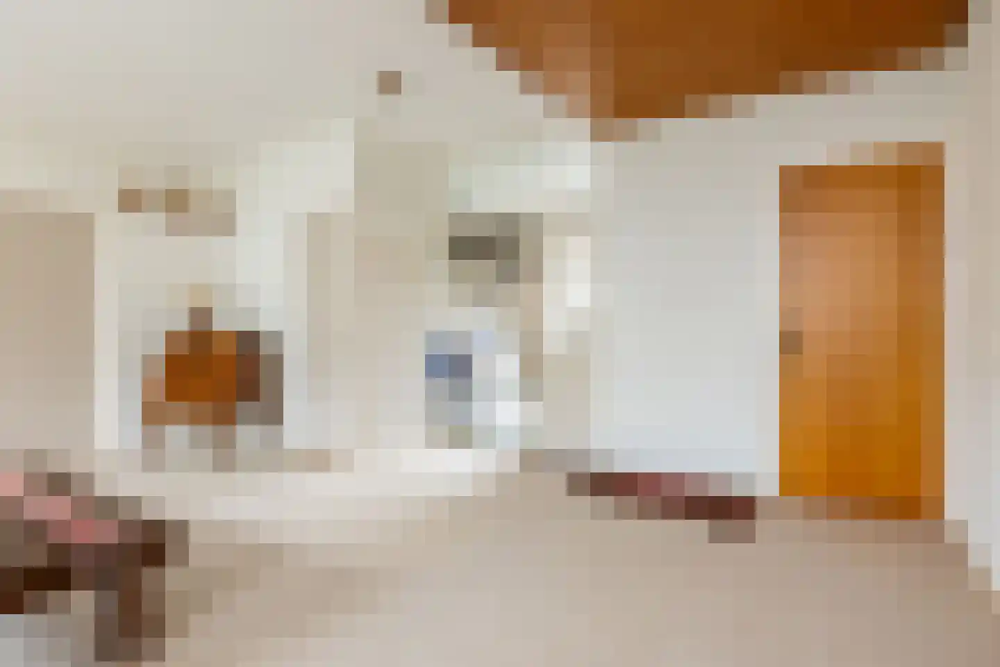 Havenstraat 13 Schoonhoven thumbnail 9