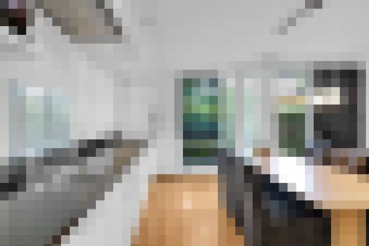 Havenstraat 131 Berkel en Rodenrijs thumbnail 12