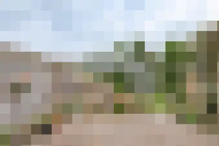 Havenstraat 131 Zijdewind thumbnail 17