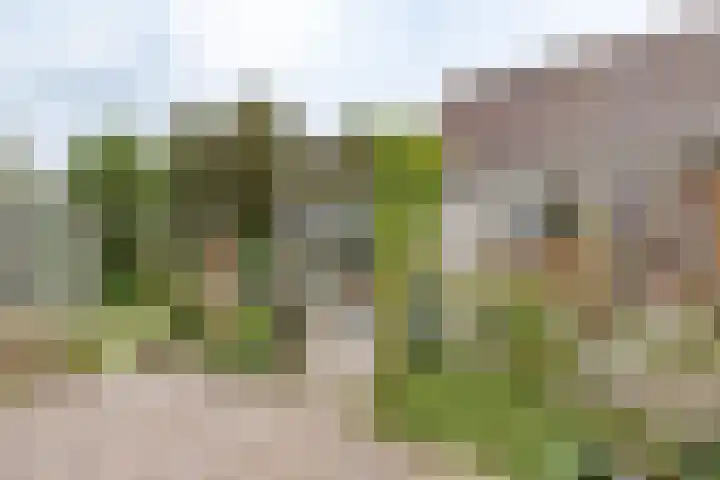 Havenstraat 131 Zijdewind thumbnail 18