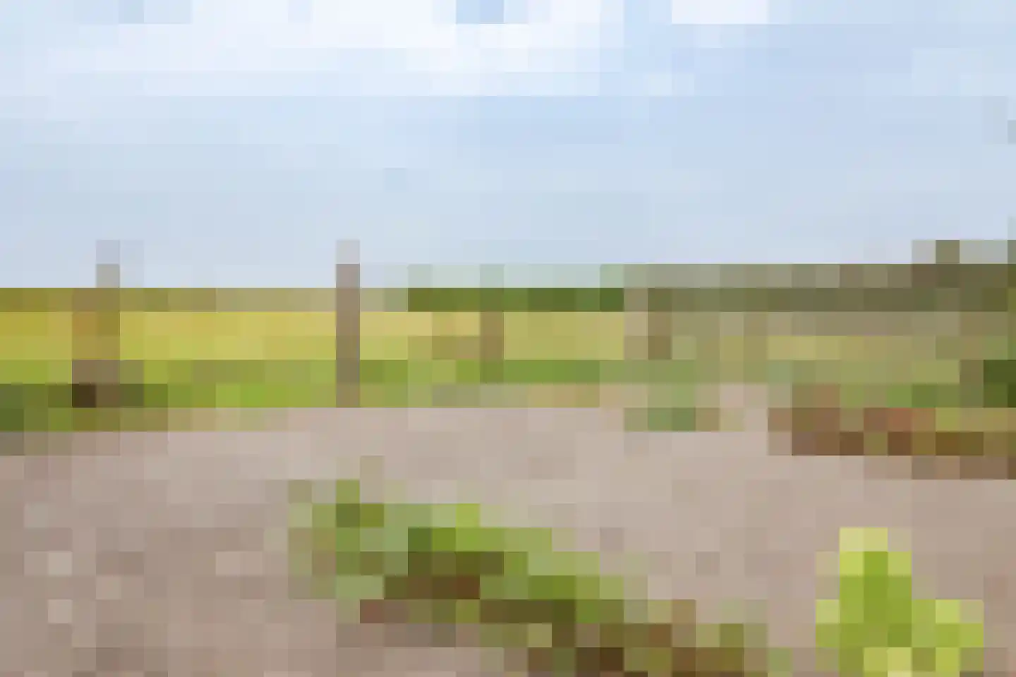 Havenstraat 131 Zijdewind thumbnail 19