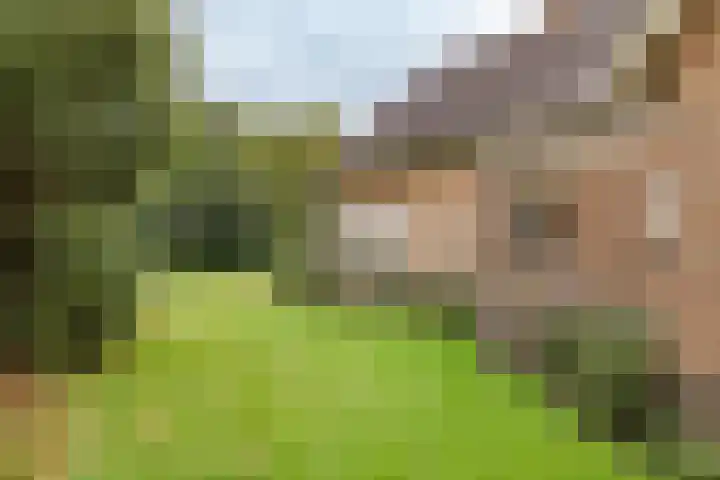Havenstraat 131 Zijdewind thumbnail 20