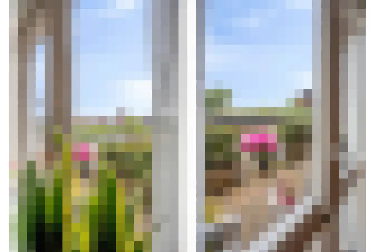 Havenstraat 14 Grave thumbnail 11