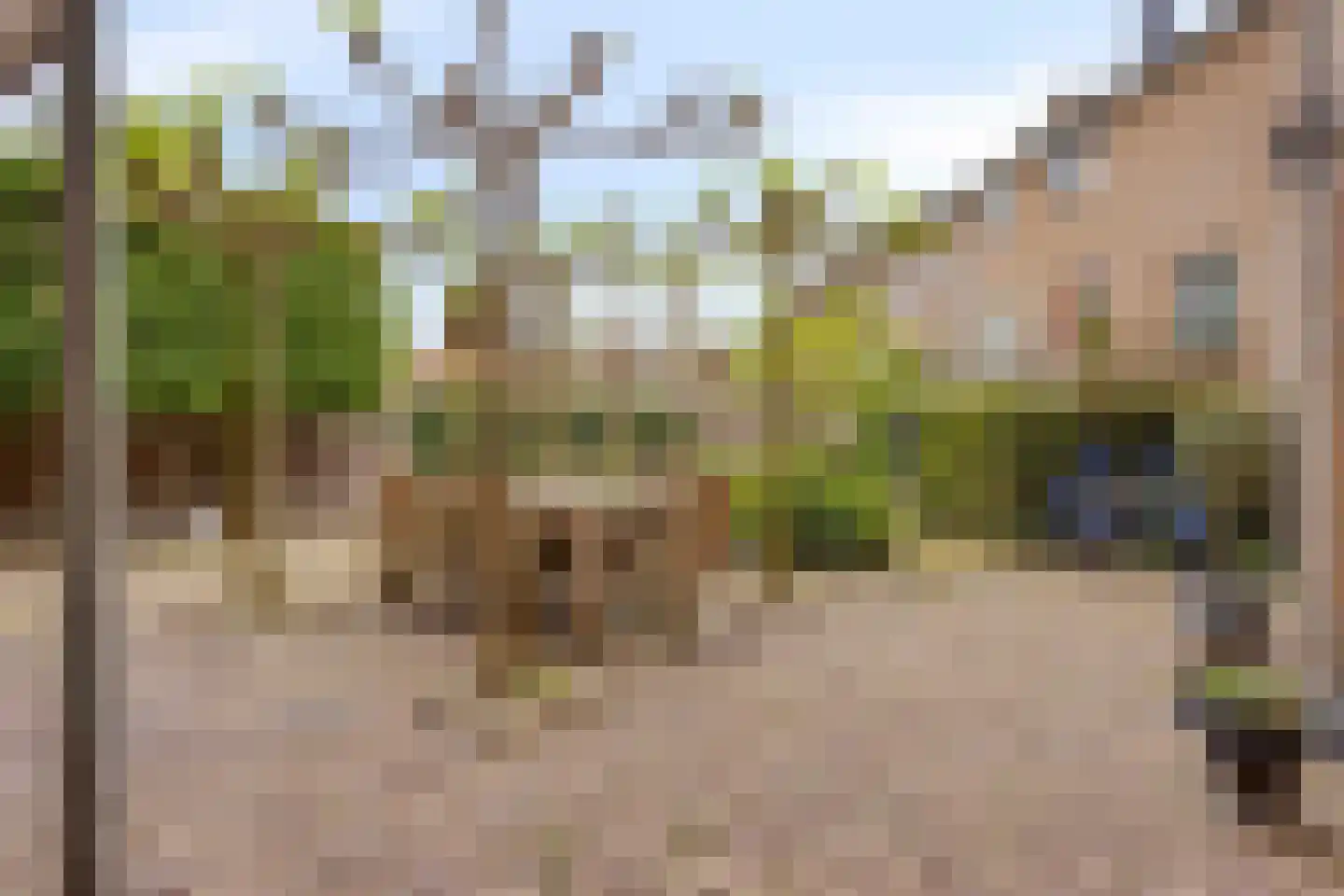 Havenstraat 14 Grave thumbnail 25