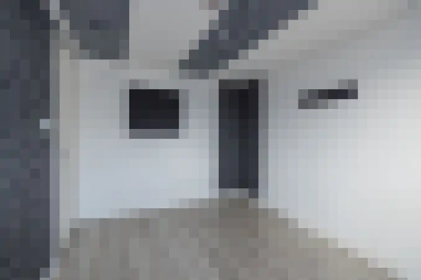 Havenstraat 14 Hillegom thumbnail 30