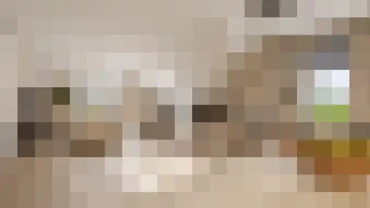 Havenstraat 15 Tuil thumbnail 4