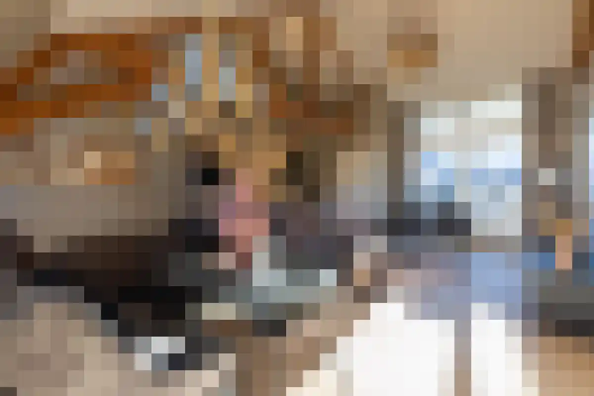 Havenstraat 16 Hilversum thumbnail 6
