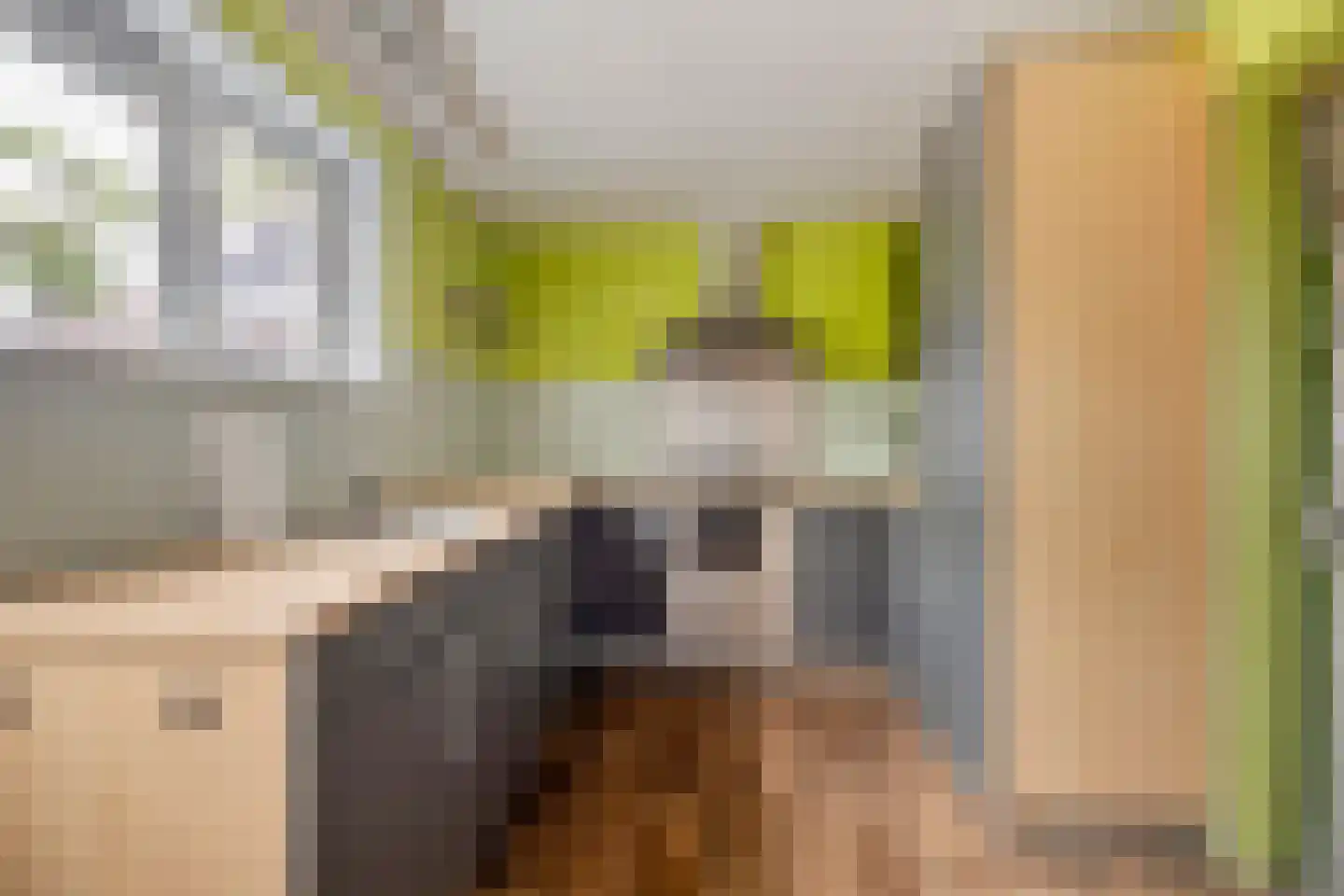 Havenstraat 16 Hoedekenskerke thumbnail 13