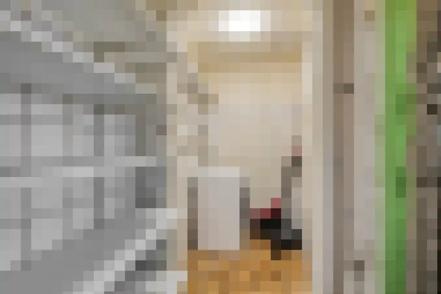 Havenstraat 16 Hoedekenskerke thumbnail 15