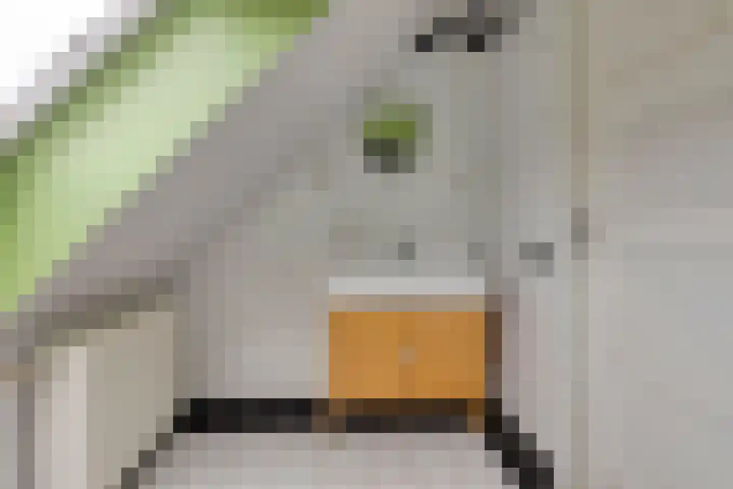 Havenstraat 16 Hoedekenskerke thumbnail 21