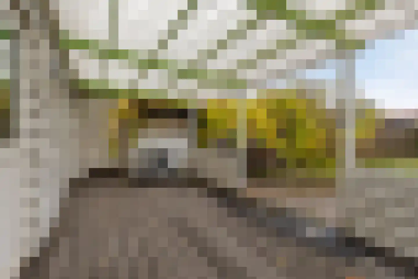 Havenstraat 16 Hoedekenskerke thumbnail 24