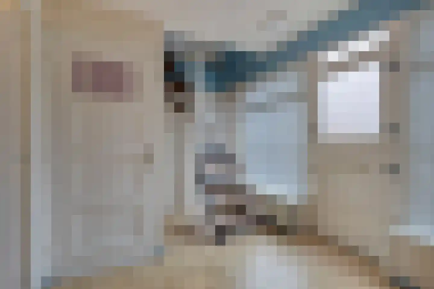 Havenstraat 16 Hoedekenskerke thumbnail 7