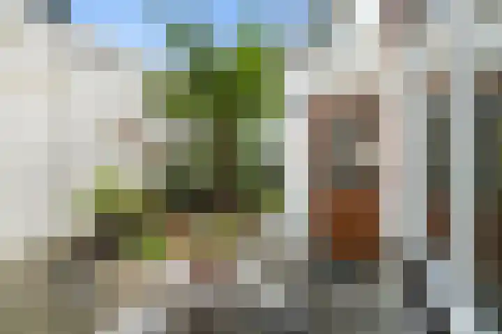 Havenstraat 16 Sliedrecht thumbnail 25