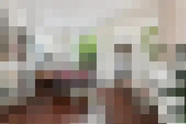 Havenstraat 16 Sliedrecht thumbnail 7