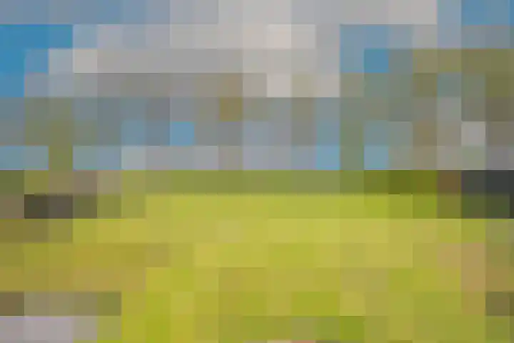 Havenstraat 18 a Zijdewind thumbnail 36