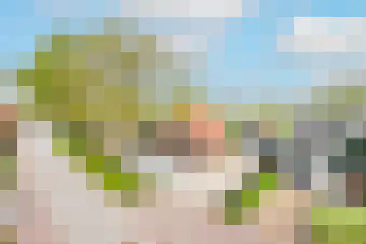 Havenstraat 18 a Zijdewind thumbnail 41