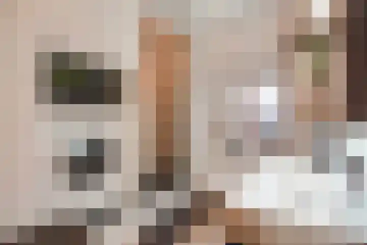 Havenstraat 18 ap13 Monster thumbnail 17