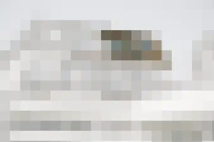 Havenstraat 18 ap16 Monster thumbnail 23