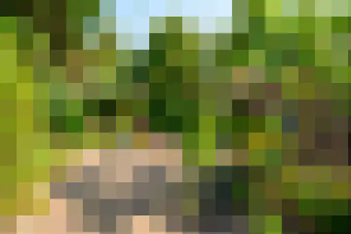 Havenstraat 18 ap16 Monster thumbnail 26