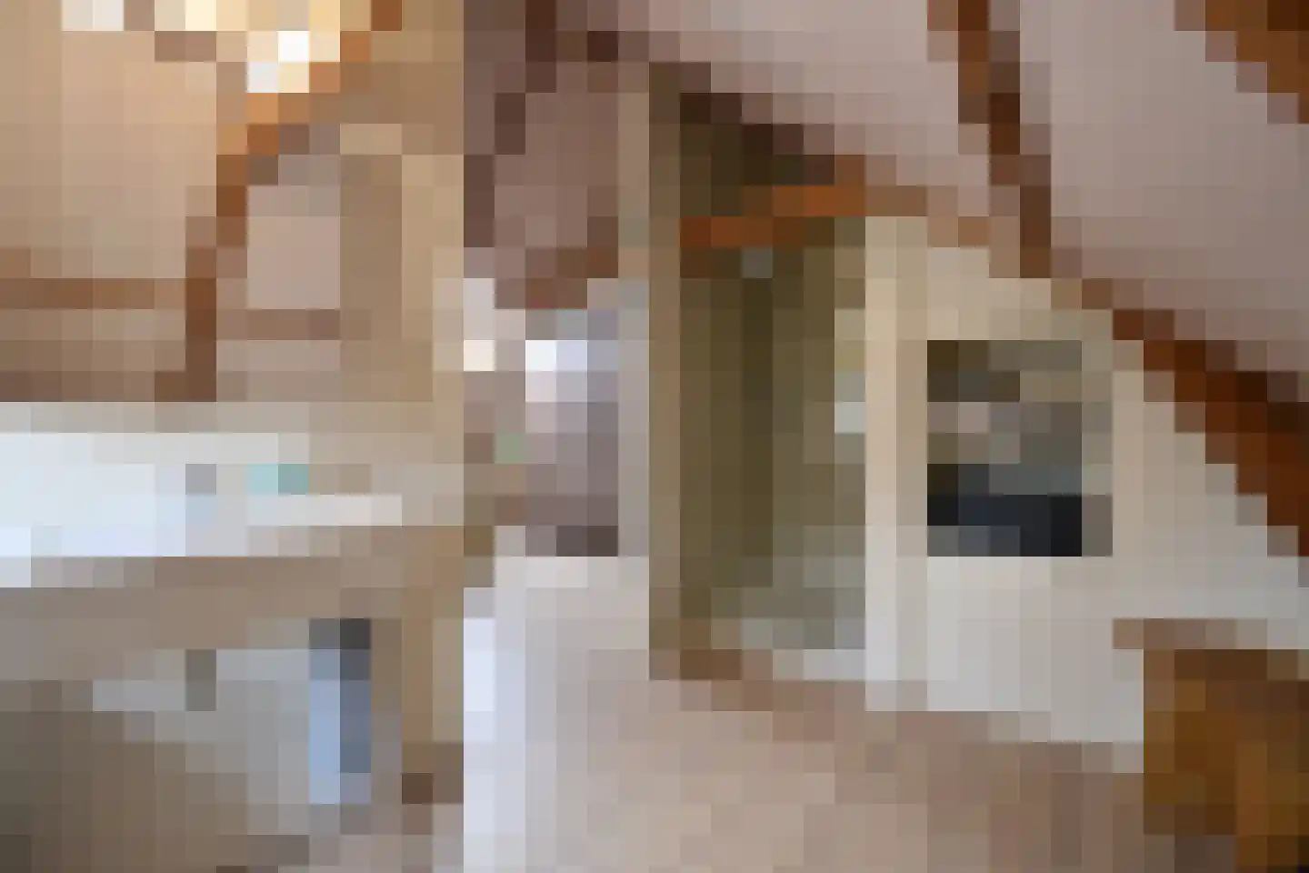 Havenstraat 18 Huizen thumbnail 12