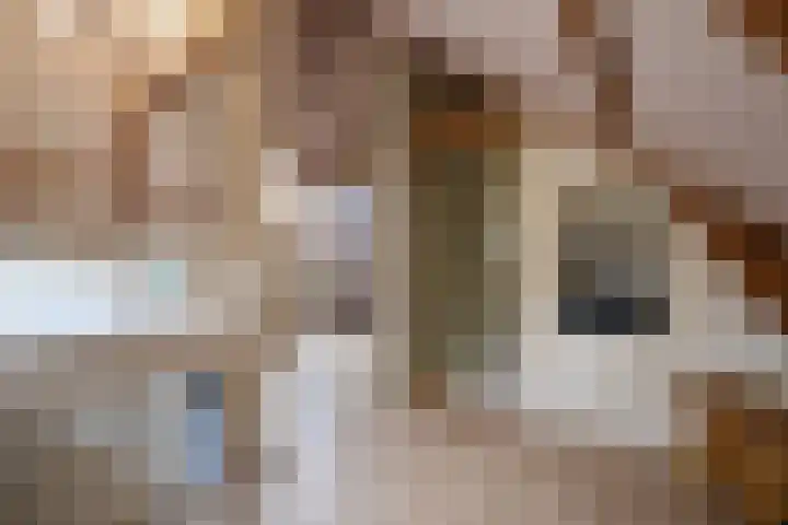 Havenstraat 18 Huizen thumbnail 12